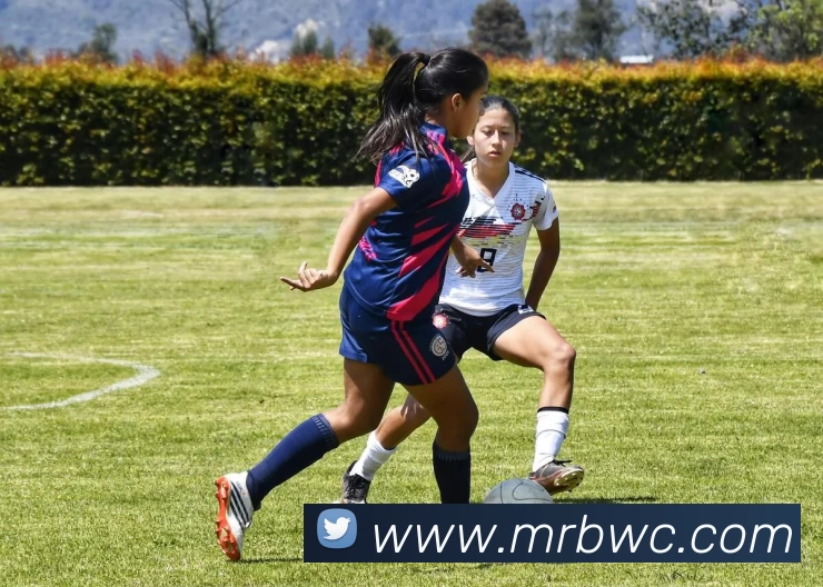 爱体育app官方网站APP 体育赛事宣传图